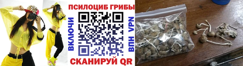 Купить закладки  Усть-Катав  Галлюциногенные грибы GOLDEN TEACHER 