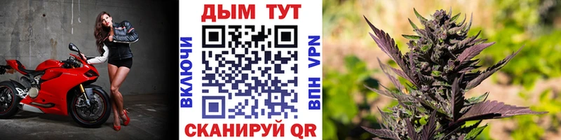 Конопля VHQ  Купить  Усть-Катав 